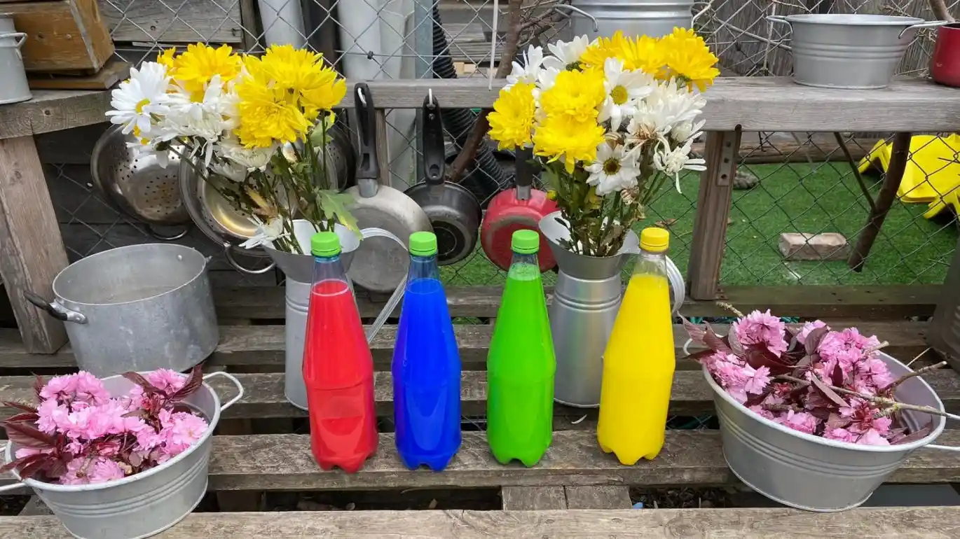 The Nest Nursery & Preschool